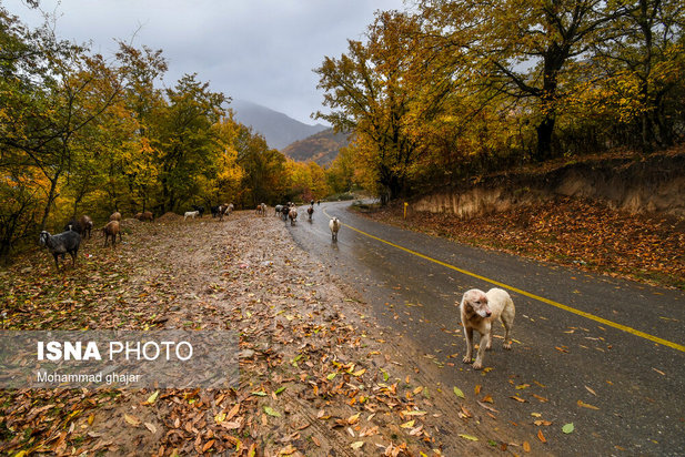 آغاز زمستان