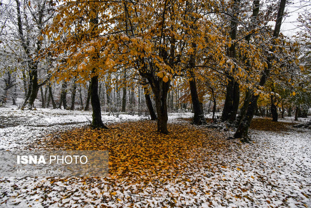 آغاز زمستان