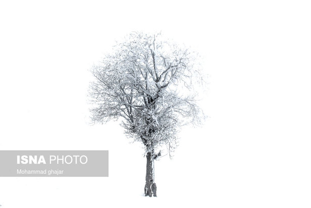 آغاز زمستان