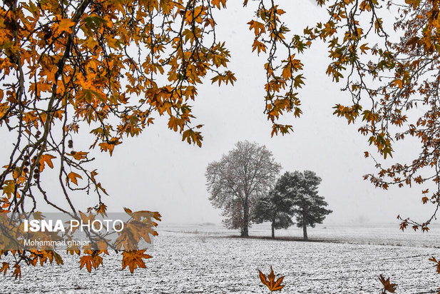 آغاز زمستان