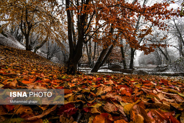 آغاز زمستان