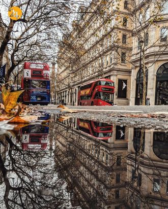 زیبایی های قرنطینه با مفهوم جهان موازی