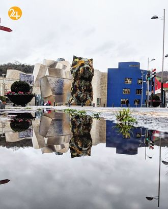 زیبایی های قرنطینه با مفهوم جهان موازی