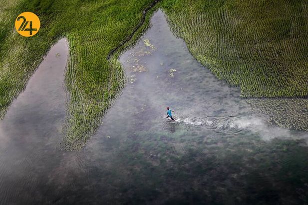 پرتره مردم زیبای بنگلادش