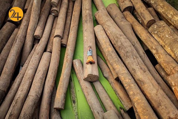 پرتره مردم زیبای بنگلادش