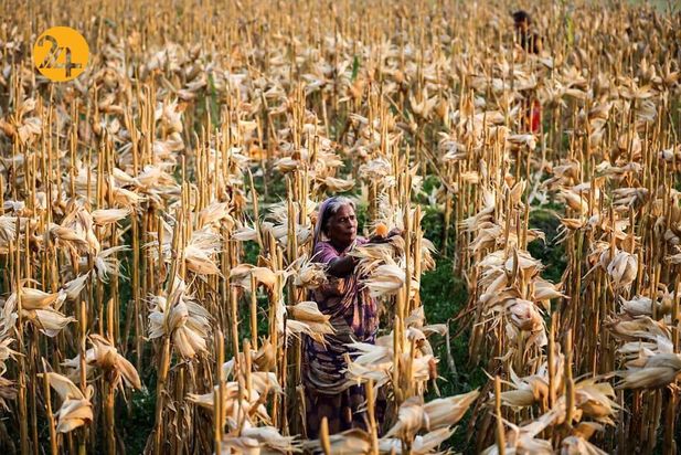 پرتره مردم زیبای بنگلادش