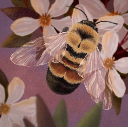 گونه‌های در معرض انقراض