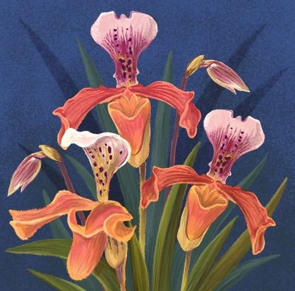 گونه‌های در معرض انقراض