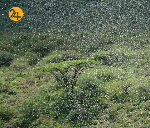 بهترین تصاویر از حیات وحش