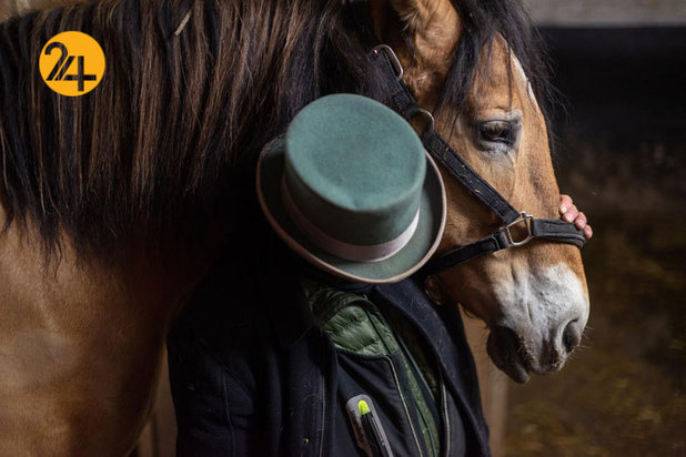 بهترین تصاویر از حیات وحش