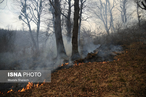 جنگل های شهر نکا در آتش