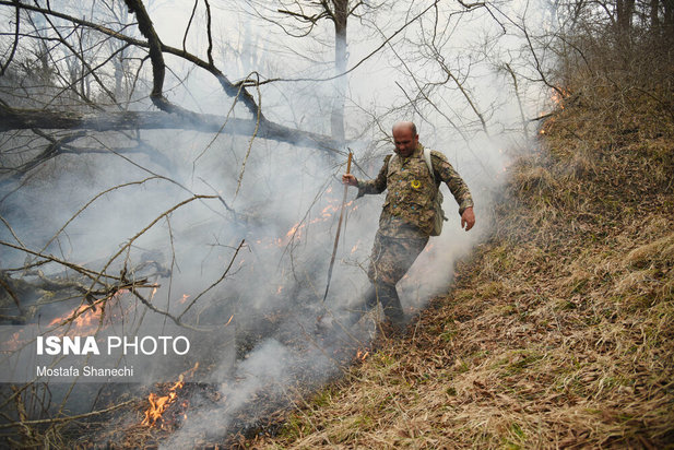 جنگل های شهر نکا در آتش