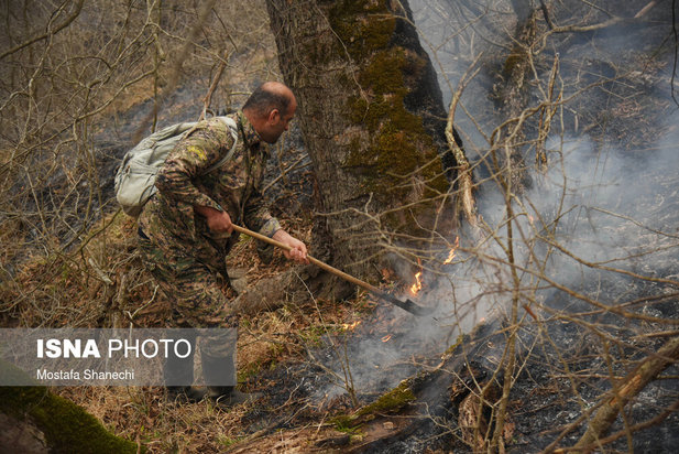 جنگل های شهر نکا در آتش