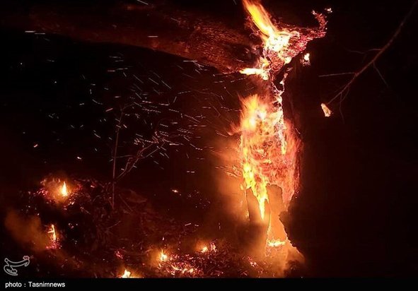 آتش سوزی جنگل گیلان