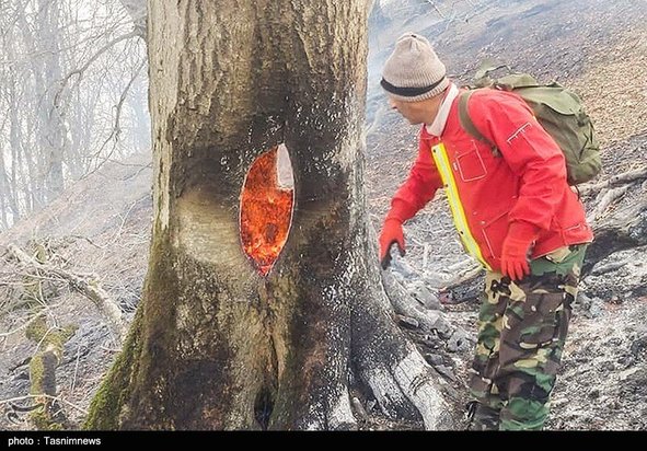 آتش سوزی جنگل گیلان