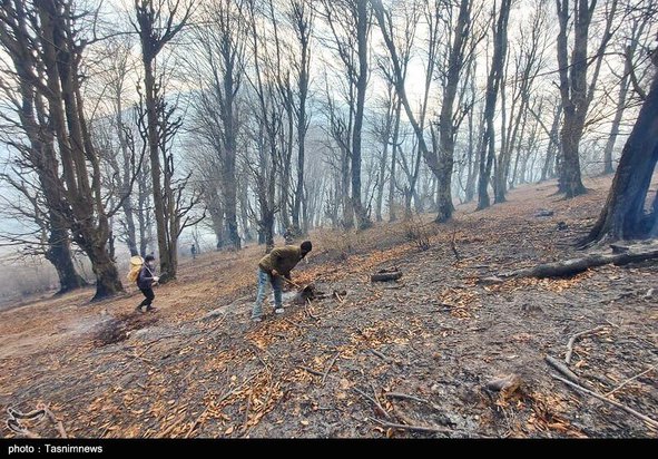 آتش سوزی جنگل گیلان