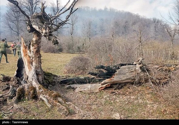 آتش سوزی جنگل گیلان