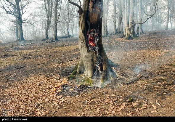 آتش سوزی جنگل گیلان