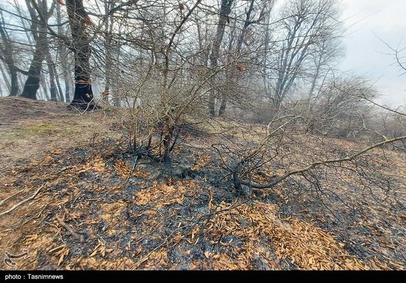 آتش سوزی جنگل گیلان