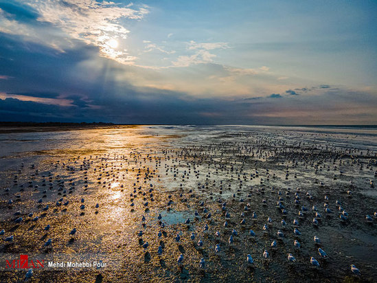 تالاب میانکاله مازندران