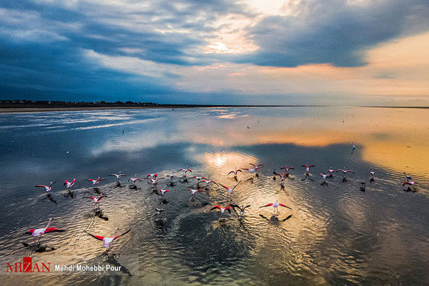 تالاب میانکاله مازندران