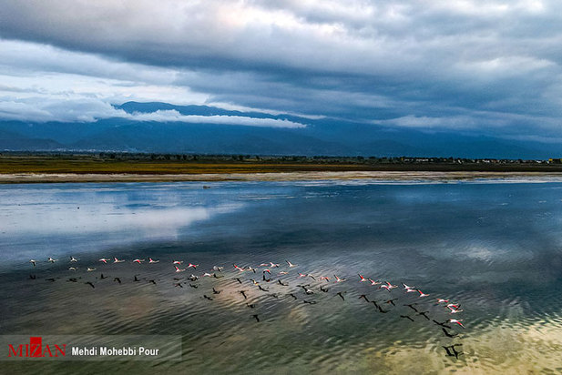 تالاب میانکاله مازندران