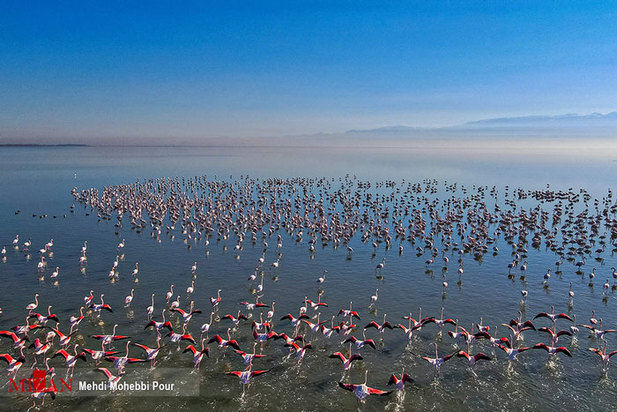 تالاب میانکاله مازندران