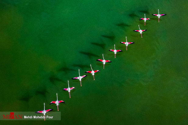 تالاب میانکاله مازندران