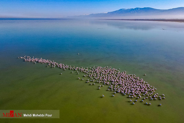 تالاب میانکاله مازندران