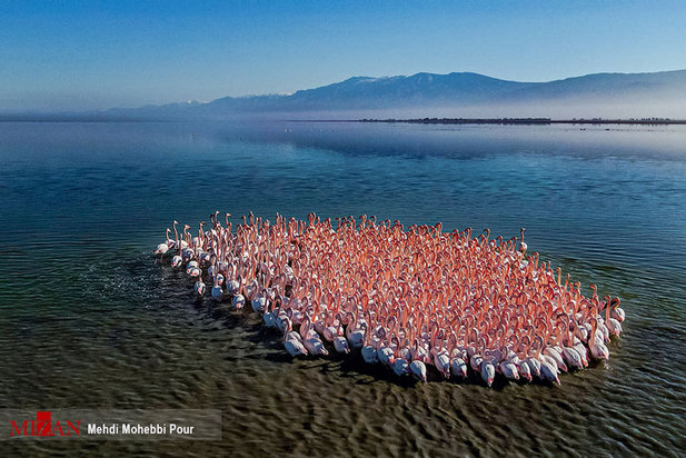 تالاب میانکاله مازندران