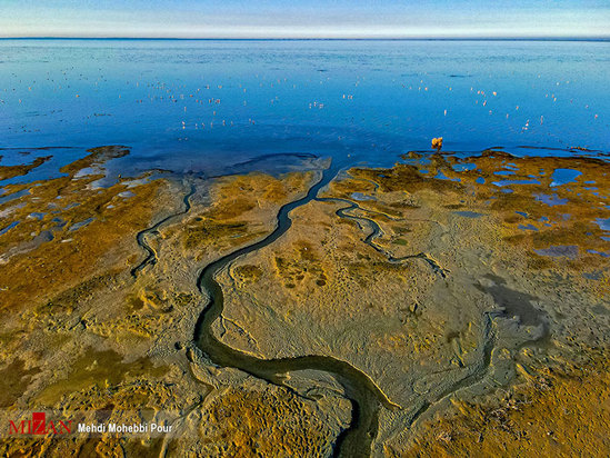 تالاب میانکاله مازندران