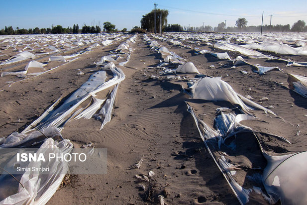 خسارات طوفان در جنوب استان کرمان