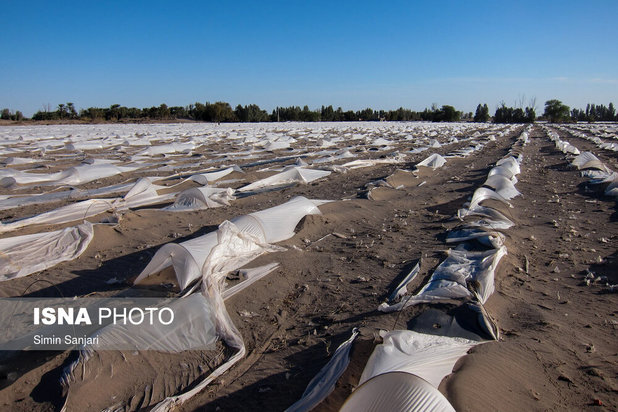 خسارات طوفان در جنوب استان کرمان