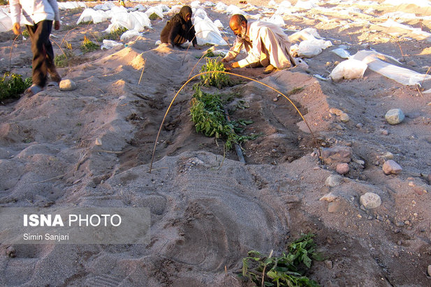 خسارات طوفان در جنوب استان کرمان