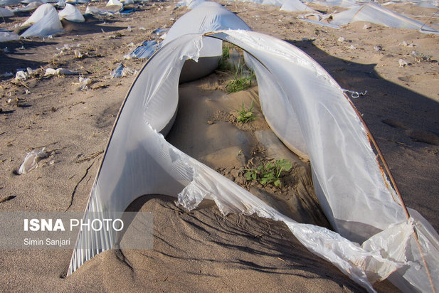 خسارات طوفان در جنوب استان کرمان