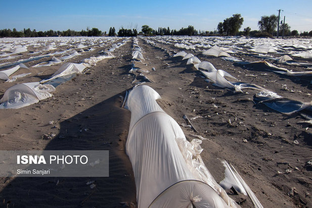 خسارات طوفان در جنوب استان کرمان