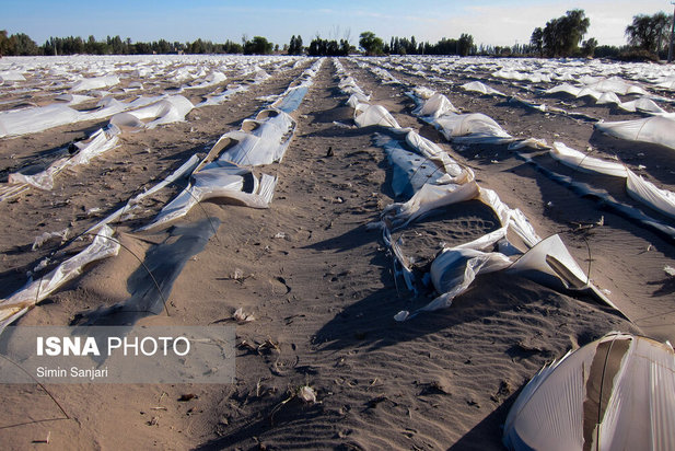 خسارات طوفان در جنوب استان کرمان
