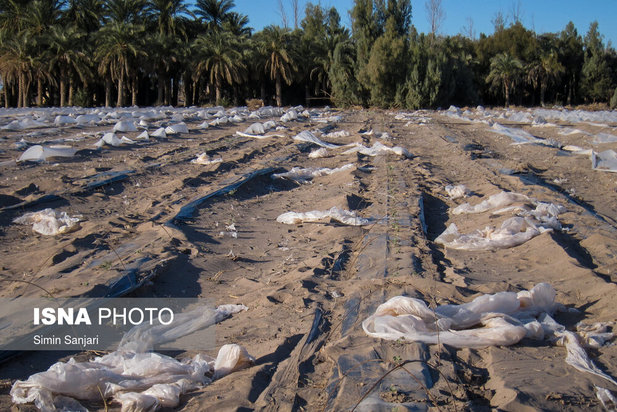 خسارات طوفان در جنوب استان کرمان