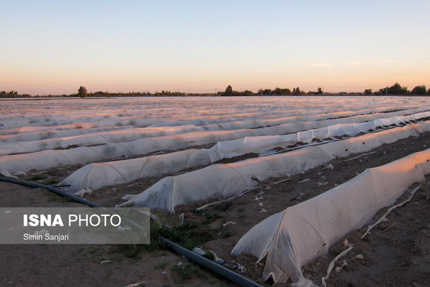 خسارات طوفان در جنوب استان کرمان