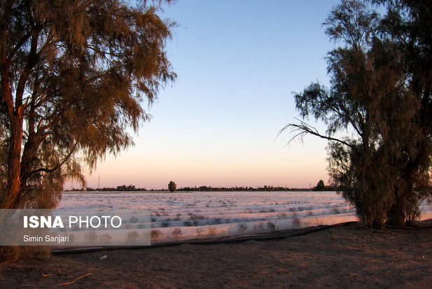 خسارات طوفان در جنوب استان کرمان