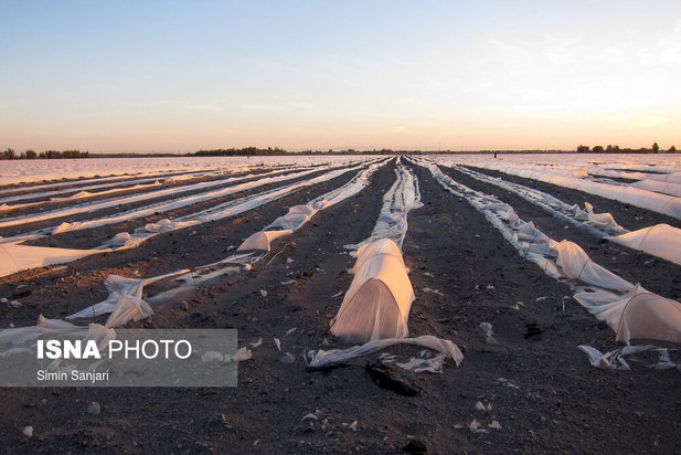 خسارات طوفان در جنوب استان کرمان