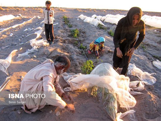 خسارات طوفان در جنوب استان کرمان