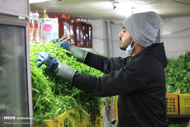 جاش  اینجا نیست