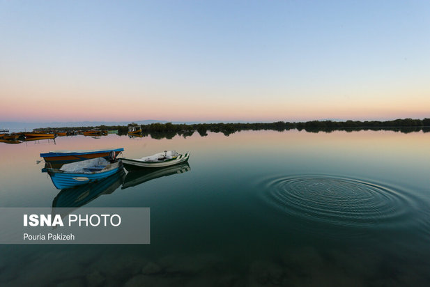 زیباترین تصاویر از جنگل حرا