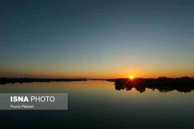 زیباترین تصاویر از جنگل حرا