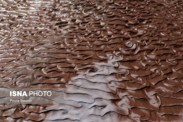 زیباترین تصاویر از جنگل حرا