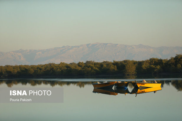زیباترین تصاویر از جنگل حرا