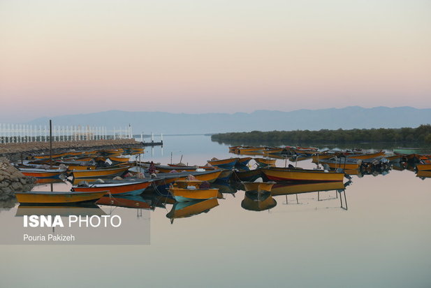 زیباترین تصاویر از جنگل حرا