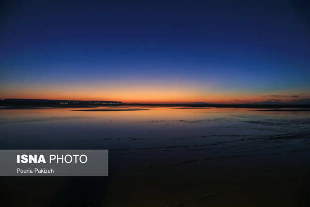 زیباترین تصاویر از جنگل حرا