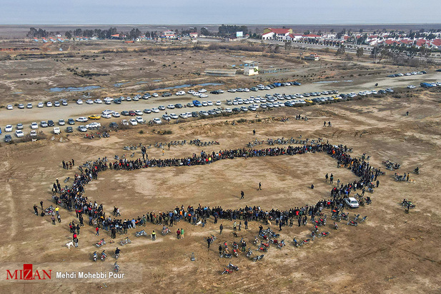 جنگ خونین سگ‌ها